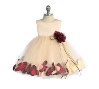 Kids Dreams Kenza - Blush and Burgundy Petals - 6 months