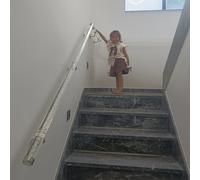 Kids Elderly Safety Hand Rails Wall Mounted, 2-20Ft Acrylic Clear Handrail Indoor Non-Slip with Complete Kits, Modern Round Staircase Banister for Nursery/School/Basement,Silver Brackets,7.5ft/230c