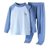 Kids Fleece Warm Pajamas Sets Solid Long Sleeve Crew Neck Tops Causal Soft Comfy Pants Set 2 Outfits Boy Girl Fall Winter Sleepwear Outfits Kids Indoor Yoga Sweat Sets (Blue, 16-17 Years)