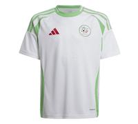 Kids Football Shirt White 2024-2025 Algeria Home Training T-Shirt Sportswear