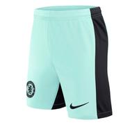 Chelsea F.C. 2023/24 Stadium Third Older Kids' Nike Dri-FIT Football Shorts - Green M