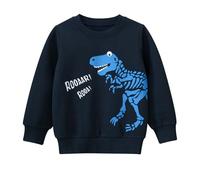Kids Hoodie Dinosaur Print Long Sleeve Fleece Lined Sweatshirt Warm Pullover Top Toddler Youth Soft Comfortable Sportswear Age 2-8 Years Blue
