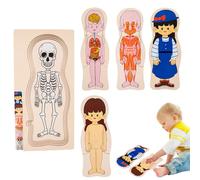 Kids humanBody puzzle- Educational Anatomy Puzzle, Interactive Learning Toy, Long Lasting Science Activity | humanBody Modelpuzzlefor Classroom, Educational Stem Learning Game