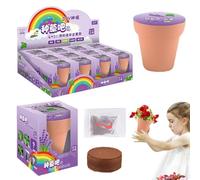 Kids Indoor Garden Kit - 1 Kit Seed Starting, Soil And Seeds For STEM Learning | Self Growing Plants, Arts And Crafts, Science Birthday Gift Activity For Children