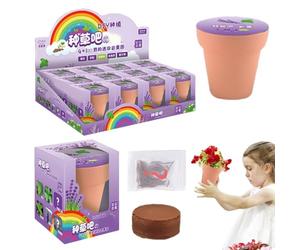 Kids Indoor Garden Kit - 1 Kit Seed Starting, Soil And Seeds For STEM Learning | Self Growing Plants, Arts And Crafts, Science Birthday Gift Activity For Children