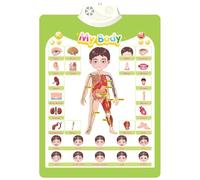 Kids Interactive Educational Wall Chart Talking Toy For Toddler Early Learning Water And Safe Use