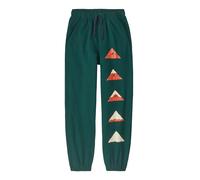 Kids' joggers Patagonia Vert 10 ans