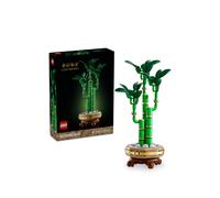 Kids LEGO® Botanicals Lucky Faux Plant Set 77053 (18+ Yrs)