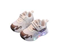 Kids Light up Shoes Led Sneakers USB Charging Flashing Trainers for Boys Girls Fashion Trainers Birthday Running Shoes Stylish Sport Shoes Casual Cute Walking Shoes