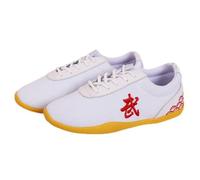Kids Martial Arts Shoes Canvas Taekwondo Kung Fu Tai chi Footwear Martial Arts Exercises Training Shoes for Children Daily (Size:42(24.5cm),Color:White)