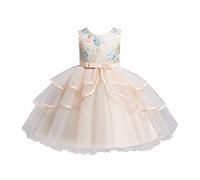 Kids Medieval Gothic Dresses Teens Halloween Party Teenager Long Sleeve Costumes for Girls Pirate Theme Vampire Dress and Outfit Bat Print Tutu Costume 3-8 Y