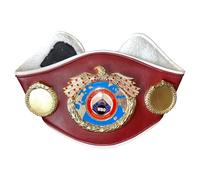 Kids Mini Boxing Championship Belts - WBC, WBA, IBF, WBO, IB, Adjustble Leather Belt with Heavy Chrome Metal Plates, Champion Trophy Belt for Kids, Display, and Collectors (WBO)
