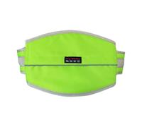 Kids Motorcycle Safety Belt - Back Vest, Adjustable Riding Harness Attachment, Child Pillion s Passenger Protection, Breathable Oxford Nylon Strap | Scooter Seat Buckle Restraint for Sons & Daughters