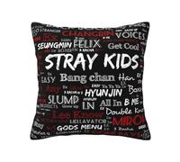Kids Music Group Stray Pillowcase With Print, Soft All-Season Throw Pillow Cover For Home Decor And Fans Gift.