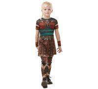 Kids Official Dreamworks Dragons Astrid Fancy dress Costume 3-10 Yrs
