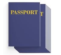 Kids Passport Book - 24 Pack, 3.85 x 5.43 in, Blue Soft Cover & Blank Pages - Pretend Play Passport Notebook for Classroom Activities, Travel Themed Party Favors & Airplane Party Decorations (24, blue