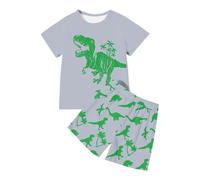 Kids Shorts And T-Shirts Sets Boys - Dinosaur Graphic Play Set For Boys Featuring Cool Printed Tee And Comfy Shorts Ideal For Kids
