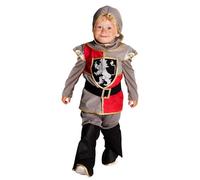 Kids Sir Templeton Medieval Kinght Boys Fancy Dress Costume