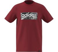 adidas Boy's CAMO Linear Junior Boys Graphic TEE, Better Scarlet, 13-14 Years