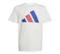adidas Unisex Kids Essentials Big Logo T-Shirt, White/Royal Blue/red, 9-10 Years
