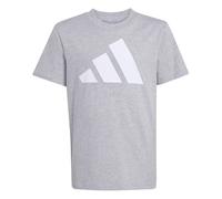 adidas Unisex Kids Essentials Big Logo Shirt, Medium Grey Heather/White, 13-14 Years