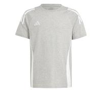 Adidas Tiro24 Short Sleeve T-shirt Grey 9-10 Years Kids