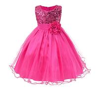 Kids Toddler Baby Girls Spring Summer Print Sleeveless Dress Party Costume Clothing Dress for Birthday Girl Kids Frocks for Girls 5 Years Hot Pink