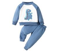 Kids Tracksuit Full Set Hooded Top with Bottom Hoodies and Joggers Clothes Sets Plain Long Sleeve Letter Print Cotton Track Suit Jogging 2 Piece Fall Winter Y2K Activewear Blue
