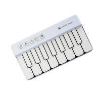 Kids Travel Piano, Interactive Learning Tool, Musical Placement Develops Rhythm Recognition and Great Motor Skills Through Piano