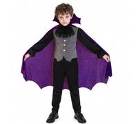 Kids Vampire Cape Purple Prince Stage Robe Costume