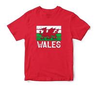 Kids Wales Flag Rugby T Shirt Boys Girls Cymru Vintage Tee Welsh Dragon Top, 7-8 Years, Red