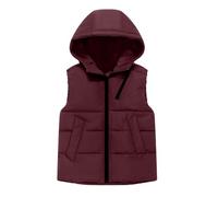Kids Winter Fleece Vest Hoody Lightweight Down Jacket Padded Quilted Puffer Coat Windproof Sleeveless Jackets Full Sleeve Parka Waistcoat Warm Casual Packable Travel School Ski Outwear