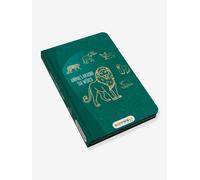 KIDYWOLF mini Kidydraw drawing tablet fir green