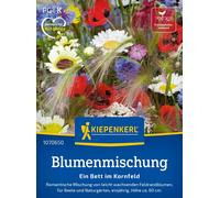 Kiepenkerl "Abed in a Cornfield" - 1 Pkg