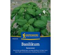 Kiepenkerl Basil "Genoveser" - 1 Pkg
