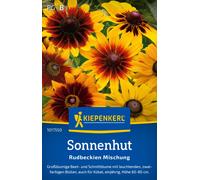 Kiepenkerl Black Eyed Susan Mix - 1 Pkg
