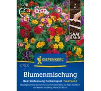 Kiepenkerl Colourful Flower Seed Mix for Borders - Seed Tape - 1 Pkg