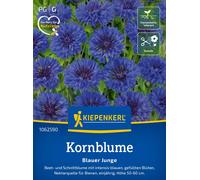 Kiepenkerl Cornflower "Blue Boy" - 1 Pkg