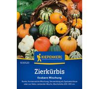Kiepenkerl Edible Ornamental Squash Mix - 1 Pkg