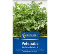 Kiepenkerl Flat Leaf Parsley Schnitt 3 - 1 Pkg