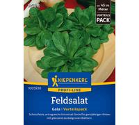 Kiepenkerl Lamb's Lettuce Gala, Value Pack - 1 Pkg