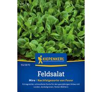 Kiepenkerl Lamb's Lettuce Miro - 1 Pkg