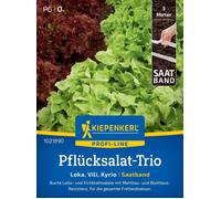 Kiepenkerl Lettuce Trio 'Loka, Vili, Kyrio' in a Seed Tape - 1 Pkg