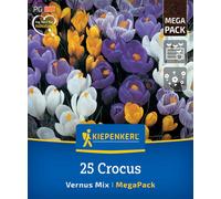 Kiepenkerl Mega-Pack Garden Crocus Mix - 25 items