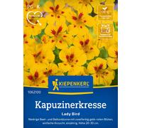 Kiepenkerl Nasturtium "Lady Bird" - 1 Pkg