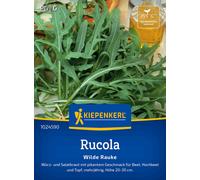Kiepenkerl Rocket Salad "Wilde Rauke" - 1 Pkg