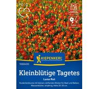 Kiepenkerl Small Flowered Marigolds "Luna Red" - 1 Pkg