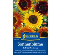 Kiepenkerl Sunflower "Debilis Mischung" - 1 Pkg