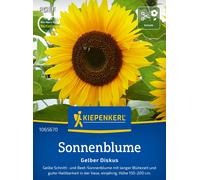 Kiepenkerl Sunflower "Gelber Diskus" - 1 Pkg