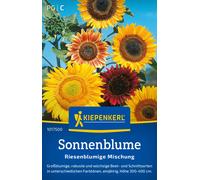 Kiepenkerl Sunflower "Giant-flowered Mixture" - 1 Pkg